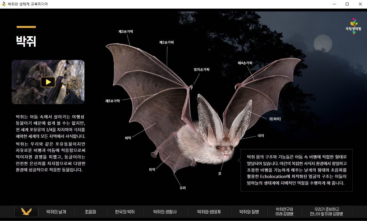 [스마트미디어] 박쥐의 생태계 교육미디어(리뉴얼) 썸네일 이미지