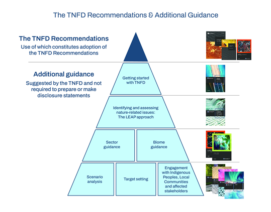 TNFD 권고안 및 추가 지침